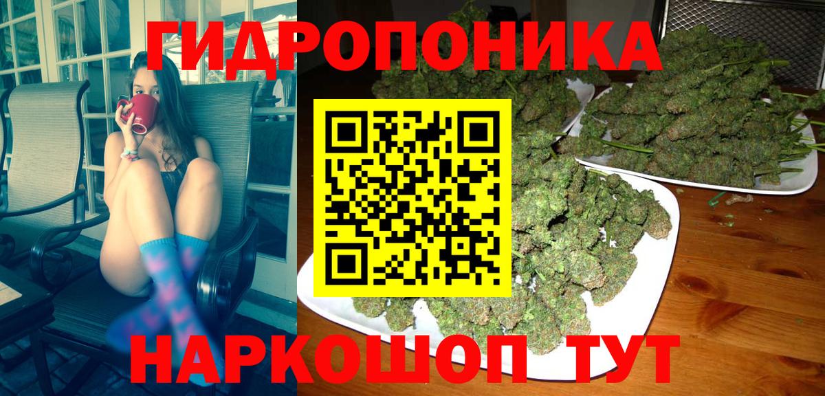 Каннабис конопля Изобильный